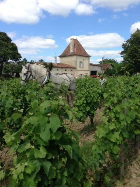 Chateau Vieux Mougnac Petit-Palais-et-Cornemps Exterior foto